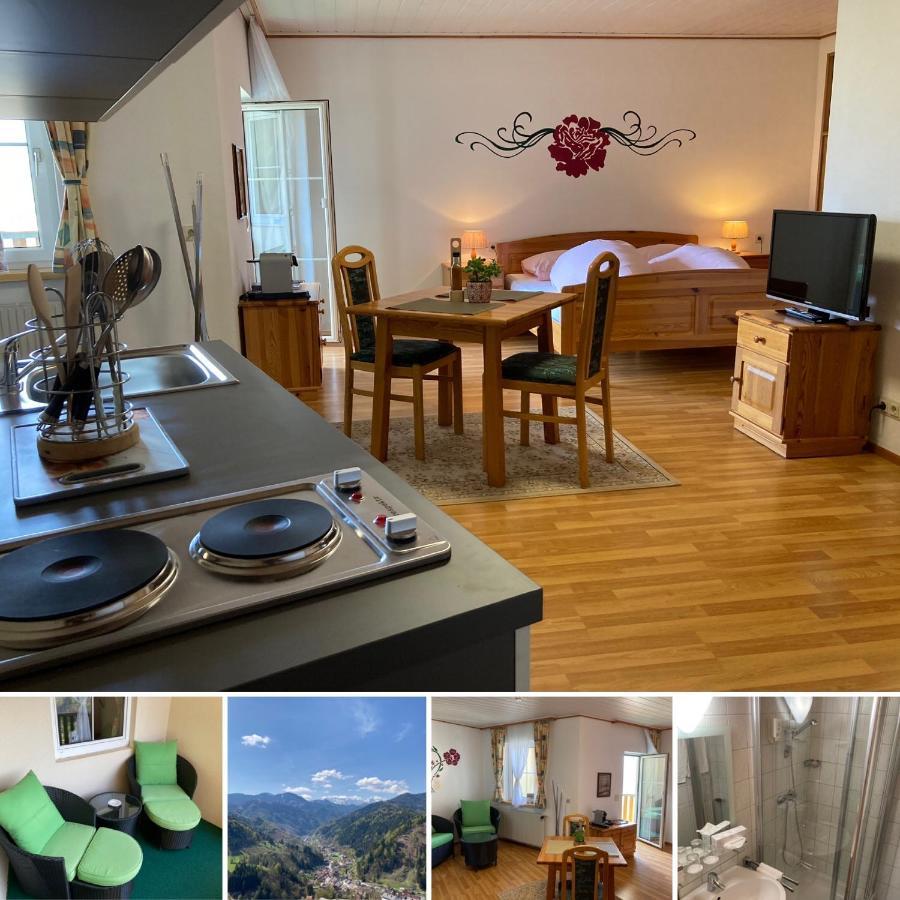 באד אייזנקאפל Motel Brunner Apartments & Zimmer מראה חיצוני תמונה